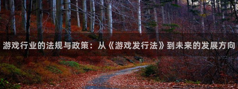 蓝图娱乐登录注册失败怎么回事：游戏行业的法规与政策：从《游戏发行法》到未来的发展方向