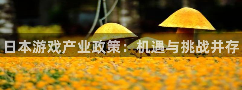 蓝图娱乐官网电子商务有限公司怎么样啊