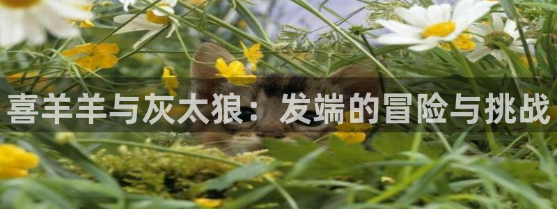 蓝图娱乐官网子酒业