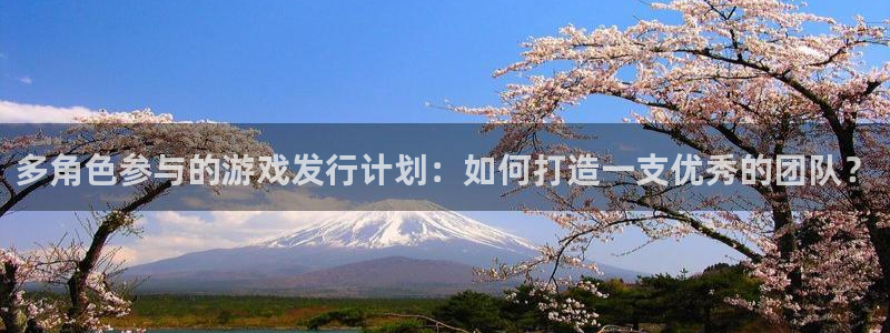 蓝图娱乐官网子最好看的小说：多角色参与的游戏发行计划：如何打造一支优秀的团队？