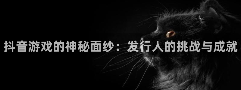 南京蓝图娱乐官网子电子商务有限公司：抖音游戏的神秘面纱：发行人的挑战与成就