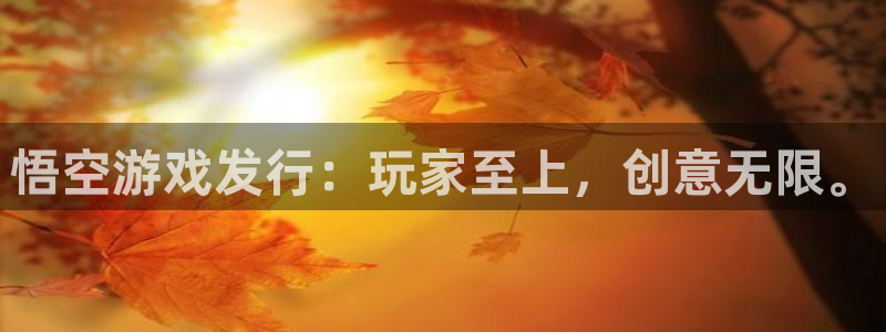 蓝图娱乐官网电子商务怎么样：悟空游戏发行：玩家至上，创意无限。