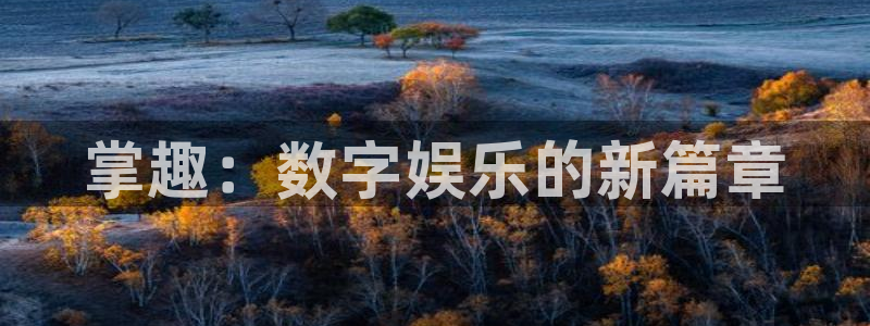 蓝图娱乐官网集团：掌趣：数字娱乐的新篇章