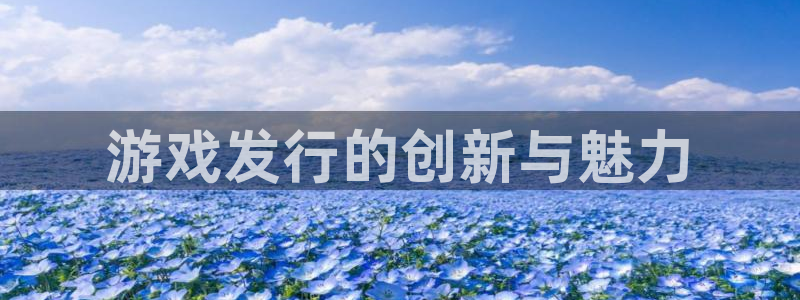 蓝图娱乐平台怎么样可靠吗：游戏发行的创新与魅力