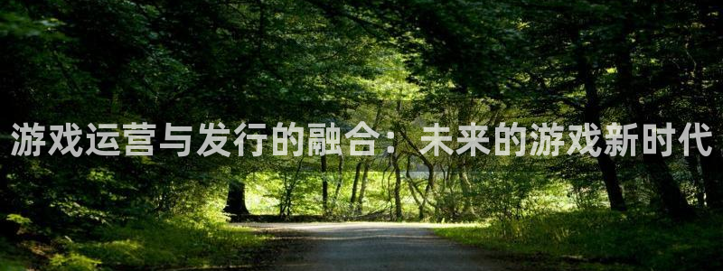 蓝图娱乐官网子财经图书：游戏运营与发行的融合：未来的游戏新时代