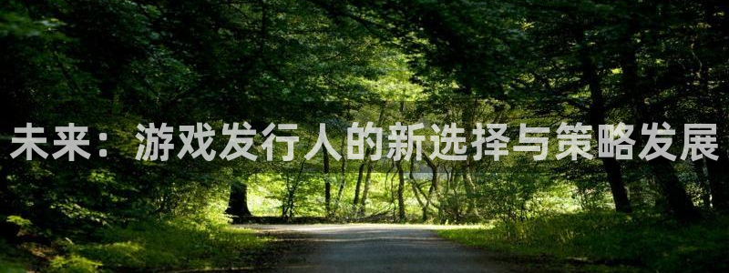 蓝图娱乐平台怎么样知乎：未来：游戏发行人的新选择与策略发展