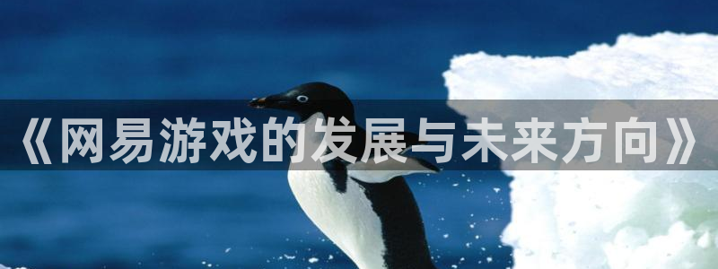 蓝图娱乐官网电子科技：《网易游戏的发展与未来方向》